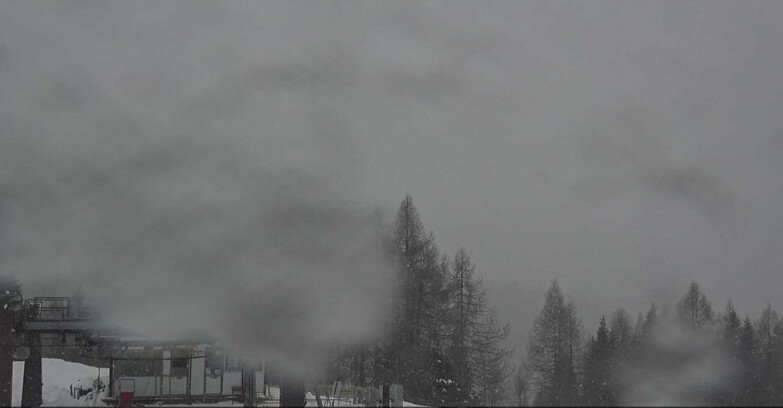 Webcam Сан-Мартино-ди-Кастроцца - Пассо-Ролле - Passo Rolle - Colbricon