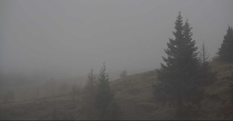 Webcam Сан-Мартино-ди-Кастроцца - Пассо-Ролле - Passo Rolle - Bocche Webcam Сан-Мартино-ди-Кастроцца - Пассо-Ролле - Passo Rolle - Bocche