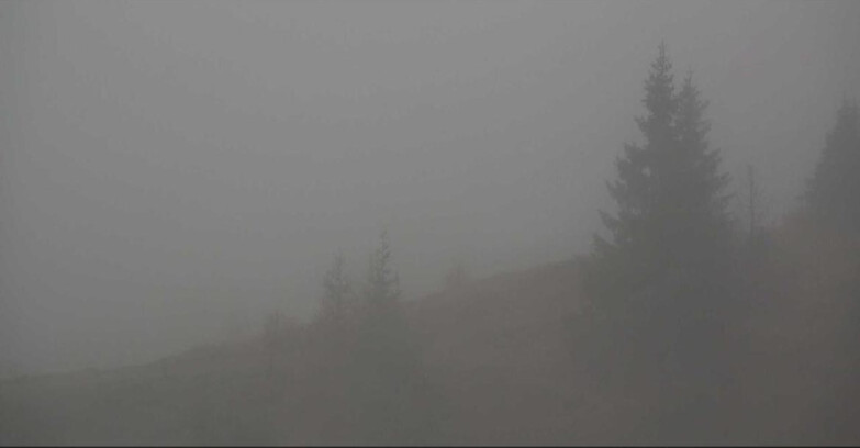 Webcam Сан-Мартино-ди-Кастроцца - Пассо-Ролле - Passo Rolle - Bocche Webcam Сан-Мартино-ди-Кастроцца - Пассо-Ролле - Passo Rolle - Bocche