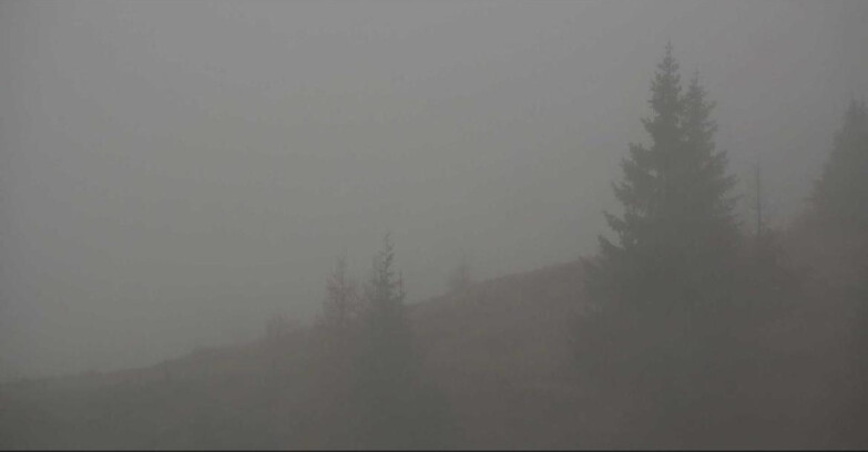 Webcam San Martino di Castrozza - Passo Rolle - Passo Rolle - Bocche