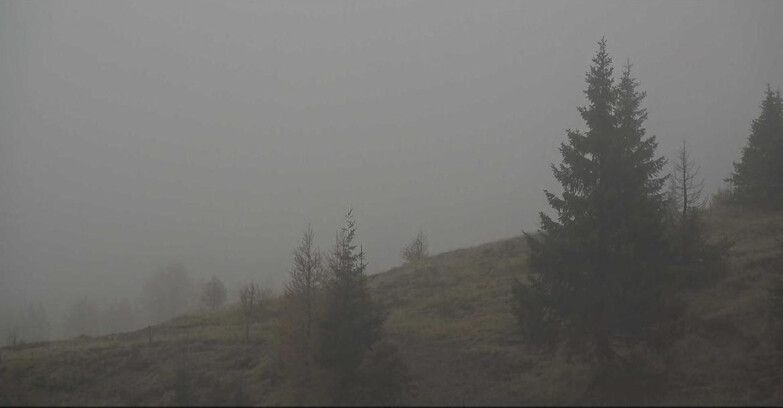 Webcam Сан-Мартино-ди-Кастроцца - Пассо-Ролле - Passo Rolle - Bocche Webcam Сан-Мартино-ди-Кастроцца - Пассо-Ролле - Passo Rolle - Bocche