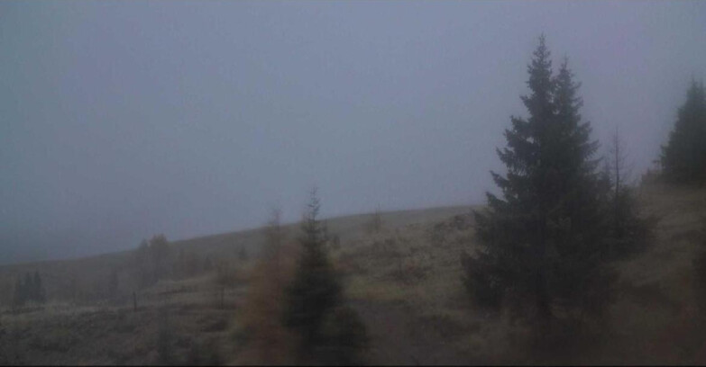 Webcam Сан-Мартино-ди-Кастроцца - Пассо-Ролле - Passo Rolle - Bocche Webcam Сан-Мартино-ди-Кастроцца - Пассо-Ролле - Passo Rolle - Bocche