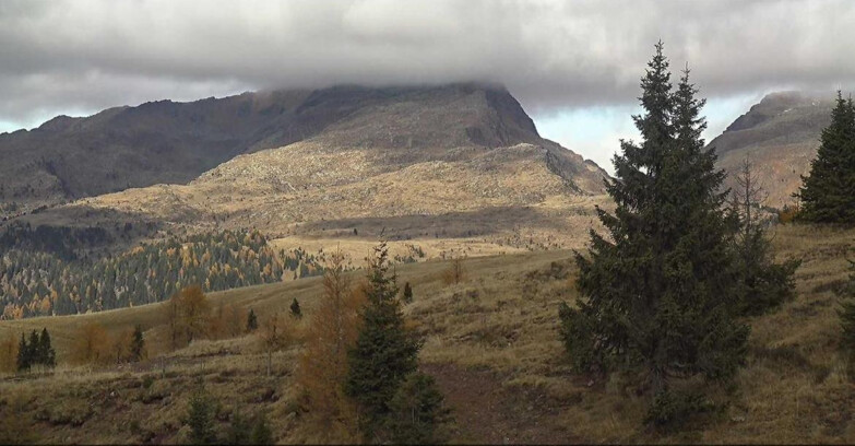 Webcam San Martino di Castrozza - Passo Rolle  - Passo Rolle - Bocche