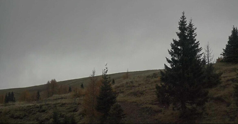 Webcam San Martino di Castrozza - Passo Rolle  - Passo Rolle - Bocche