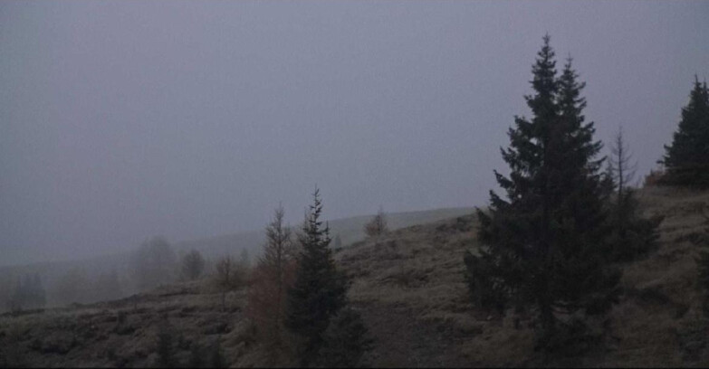 Webcam San Martino di Castrozza - Passo Rolle  - Passo Rolle - Bocche