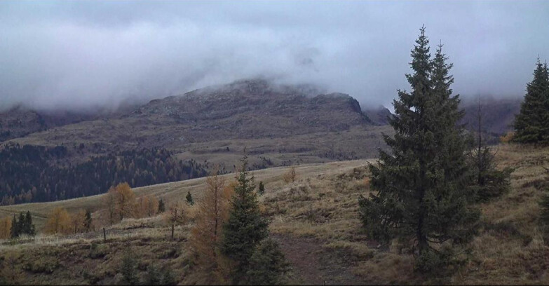 Webcam San Martino di Castrozza - Passo Rolle - Passo Rolle - Bocche