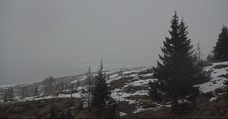 Webcam Сан-Мартино-ди-Кастроцца - Пассо-Ролле - Passo Rolle - Bocche