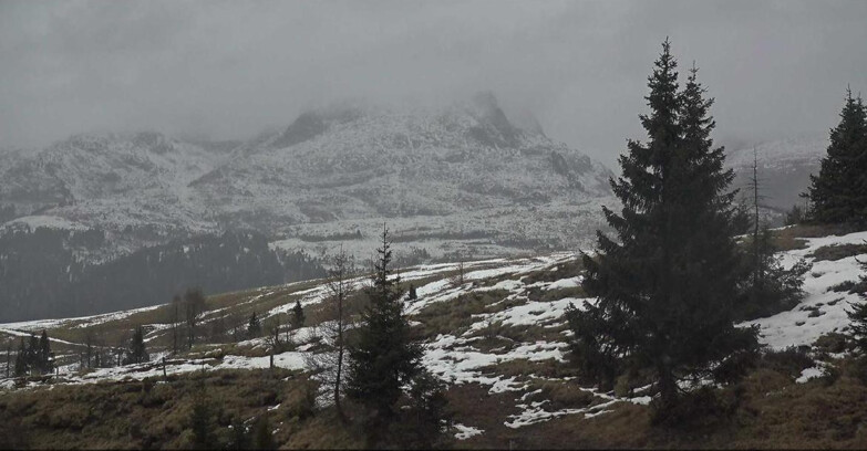 Webcam Сан-Мартино-ди-Кастроцца - Пассо-Ролле - Passo Rolle - Bocche