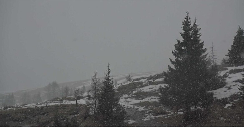 Webcam Сан-Мартино-ди-Кастроцца - Пассо-Ролле - Passo Rolle - Bocche