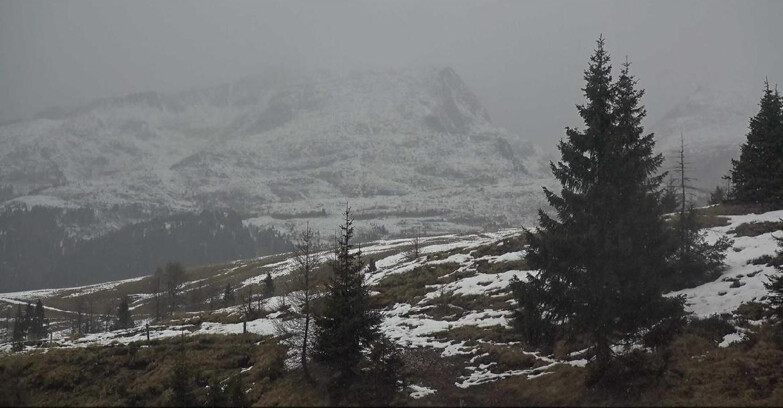 Webcam Сан-Мартино-ди-Кастроцца - Пассо-Ролле - Passo Rolle - Bocche