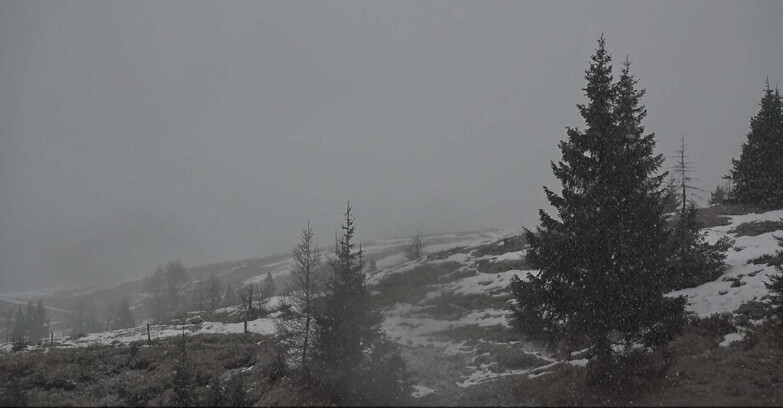 Webcam Сан-Мартино-ди-Кастроцца - Пассо-Ролле - Passo Rolle - Bocche