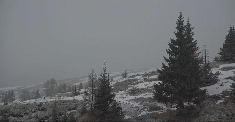 Webcam Сан-Мартино-ди-Кастроцца - Пассо-Ролле - Passo Rolle - Bocche