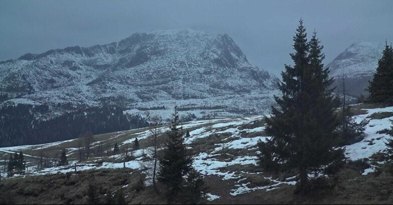 Webcam Сан-Мартино-ди-Кастроцца - Пассо-Ролле - Passo Rolle - Bocche