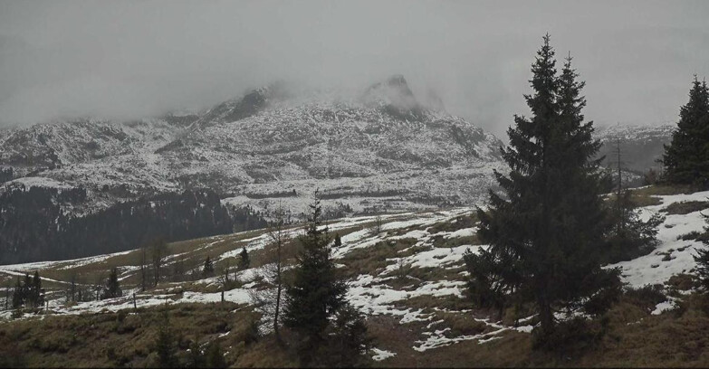 Webcam Сан-Мартино-ди-Кастроцца - Пассо-Ролле - Passo Rolle - Bocche