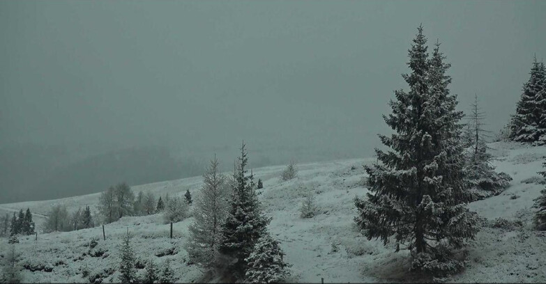 Webcam San Martino di Castrozza - Passo Rolle - Passo Rolle - Bocche