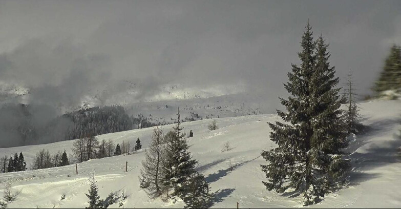 Webcam San Martino di Castrozza - Passo Rolle - Passo Rolle - Bocche