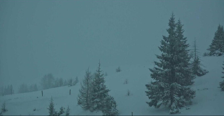 Webcam San Martino di Castrozza - Passo Rolle - Passo Rolle - Bocche