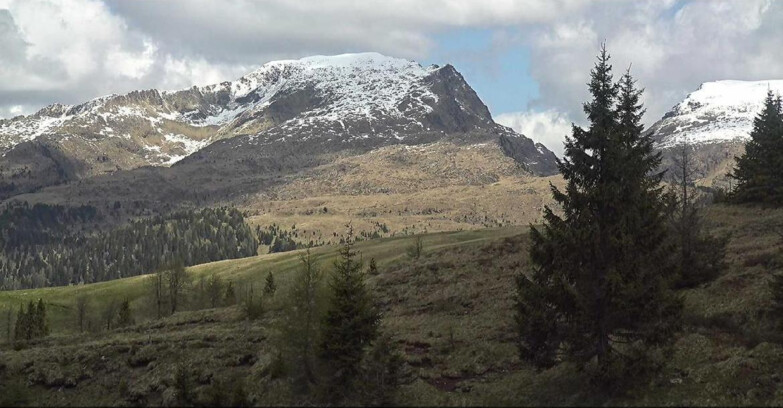 Webcam San Martino di Castrozza - Passo Rolle  - Passo Rolle - Bocche