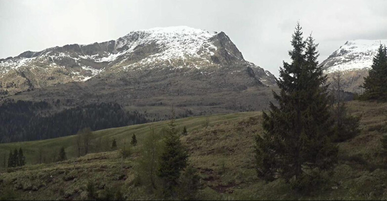 Webcam San Martino di Castrozza - Passo Rolle  - Passo Rolle - Bocche