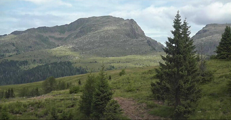 Webcam Сан-Мартино-ди-Кастроцца - Пассо-Ролле - Passo Rolle - Bocche