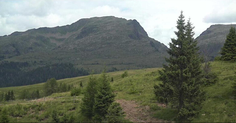 Webcam Сан-Мартино-ди-Кастроцца - Пассо-Ролле - Passo Rolle - Bocche