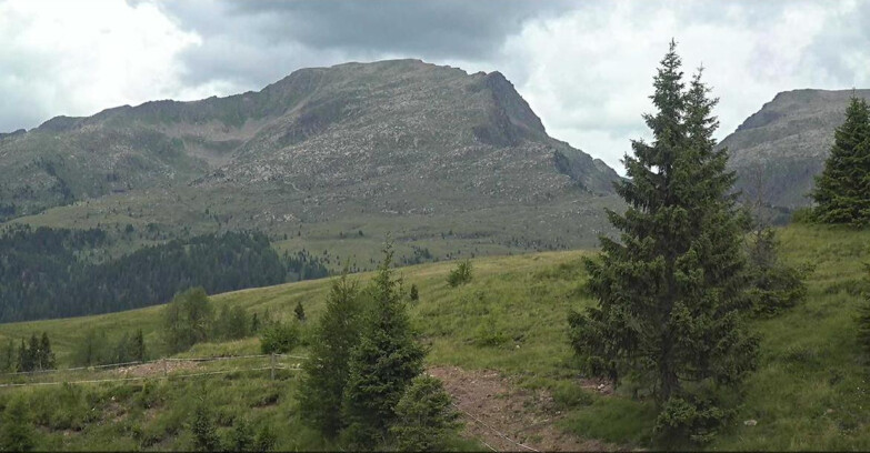 Webcam Сан-Мартино-ди-Кастроцца - Пассо-Ролле - Passo Rolle - Bocche