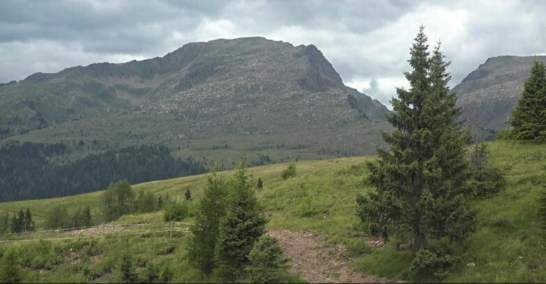 Webcam Сан-Мартино-ди-Кастроцца - Пассо-Ролле - Passo Rolle - Bocche