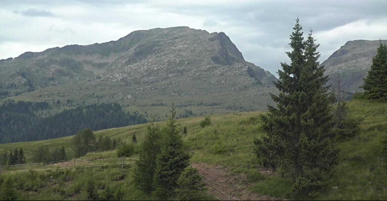 Webcam Сан-Мартино-ди-Кастроцца - Пассо-Ролле - Passo Rolle - Bocche