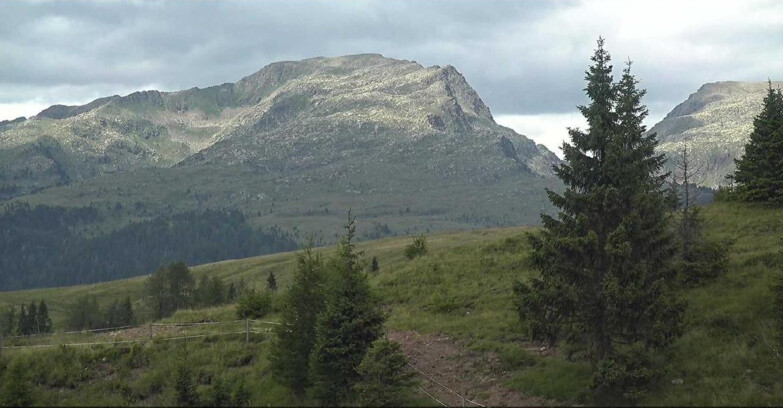 Webcam Сан-Мартино-ди-Кастроцца - Пассо-Ролле - Passo Rolle - Bocche