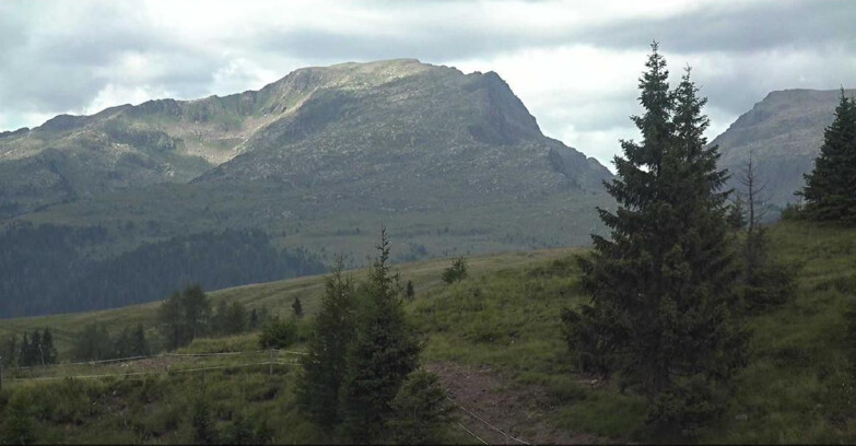 Webcam Сан-Мартино-ди-Кастроцца - Пассо-Ролле - Passo Rolle - Bocche