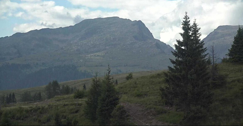 Webcam Сан-Мартино-ди-Кастроцца - Пассо-Ролле - Passo Rolle - Bocche