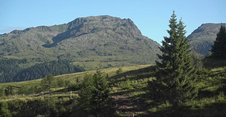 Webcam Сан-Мартино-ди-Кастроцца - Пассо-Ролле - Passo Rolle - Bocche