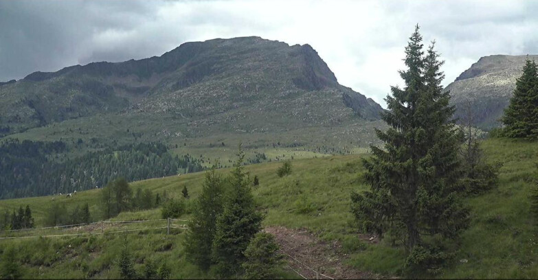 Webcam San Martino di Castrozza - Passo Rolle - Passo Rolle - Bocche
