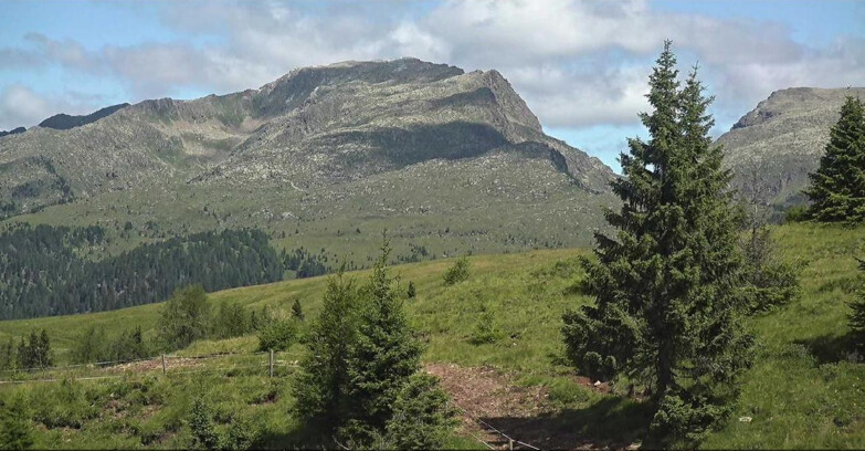 Webcam Сан-Мартино-ди-Кастроцца - Пассо-Ролле - Passo Rolle - Bocche