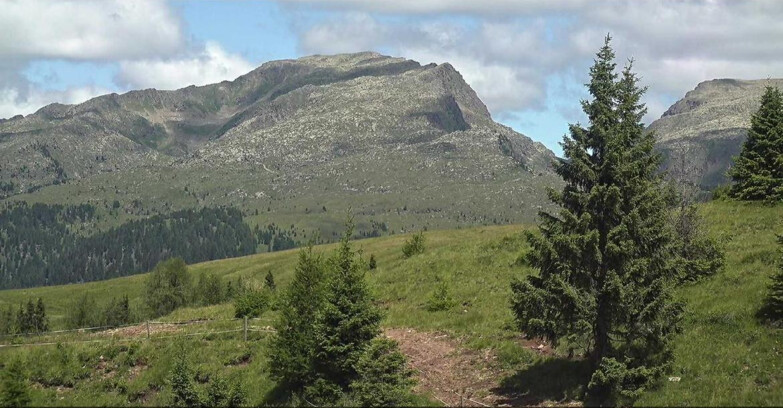 Webcam Сан-Мартино-ди-Кастроцца - Пассо-Ролле - Passo Rolle - Bocche