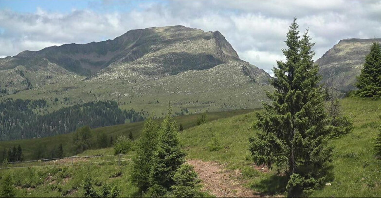 Webcam Сан-Мартино-ди-Кастроцца - Пассо-Ролле - Passo Rolle - Bocche