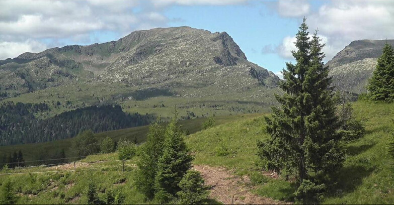Webcam Сан-Мартино-ди-Кастроцца - Пассо-Ролле - Passo Rolle - Bocche