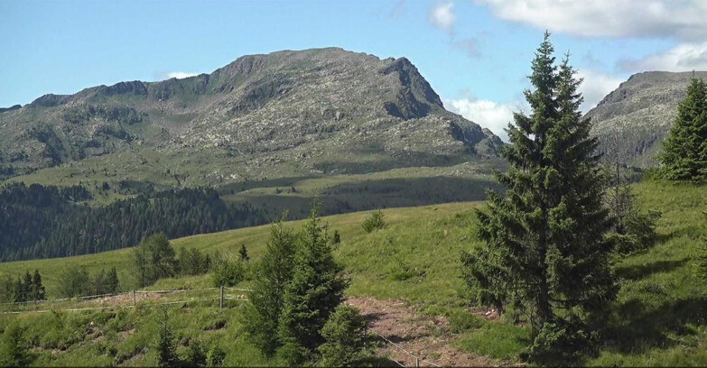 Webcam Сан-Мартино-ди-Кастроцца - Пассо-Ролле - Passo Rolle - Bocche