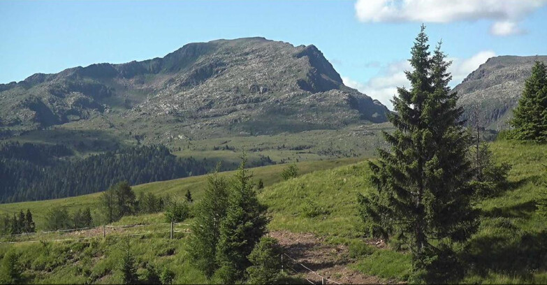 Webcam Сан-Мартино-ди-Кастроцца - Пассо-Ролле - Passo Rolle - Bocche