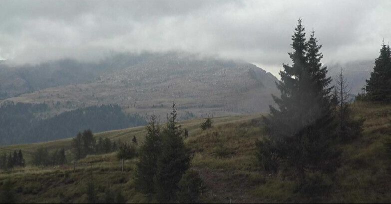 Webcam San Martino di Castrozza - Passo Rolle - Passo Rolle - Bocche