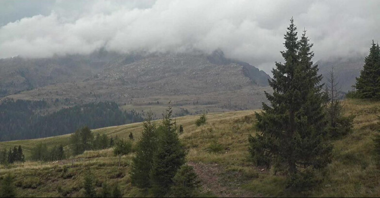 Webcam San Martino di Castrozza - Passo Rolle - Passo Rolle - Bocche
