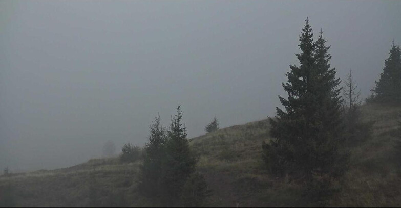Webcam San Martino di Castrozza - Passo Rolle  - Passo Rolle - Bocche