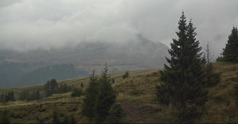 Webcam San Martino di Castrozza - Passo Rolle  - Passo Rolle - Bocche
