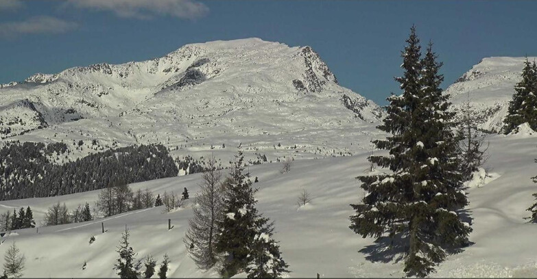 Webcam Сан-Мартино-ди-Кастроцца - Пассо-Ролле - Passo Rolle - Bocche