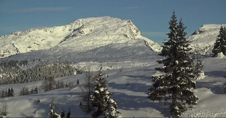 Webcam Сан-Мартино-ди-Кастроцца - Пассо-Ролле - Passo Rolle - Bocche