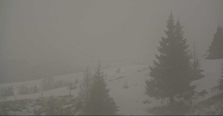 Webcam San Martino di Castrozza - Passo Rolle  - Passo Rolle - Bocche