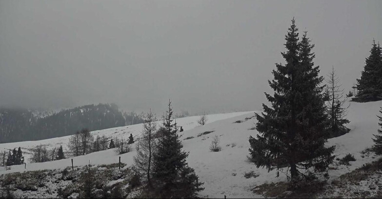Webcam San Martino di Castrozza - Passo Rolle  - Passo Rolle - Bocche