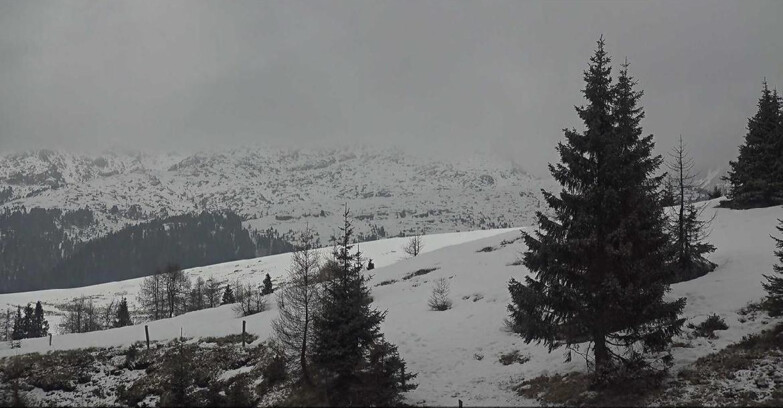 Webcam San Martino di Castrozza - Passo Rolle  - Passo Rolle - Bocche