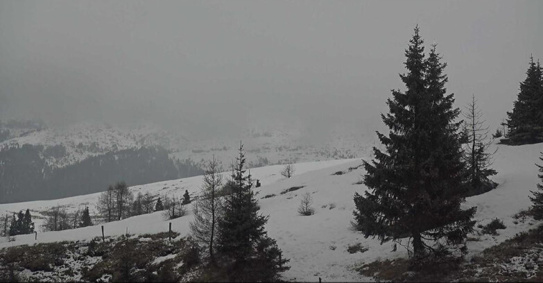 Webcam San Martino di Castrozza - Passo Rolle  - Passo Rolle - Bocche