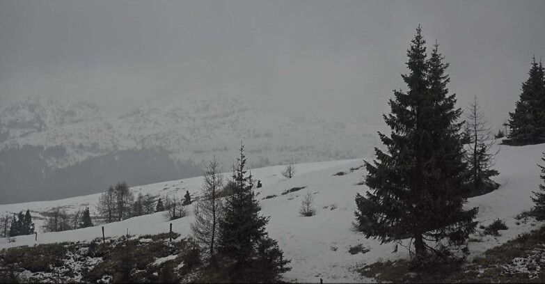 Webcam San Martino di Castrozza - Passo Rolle  - Passo Rolle - Bocche